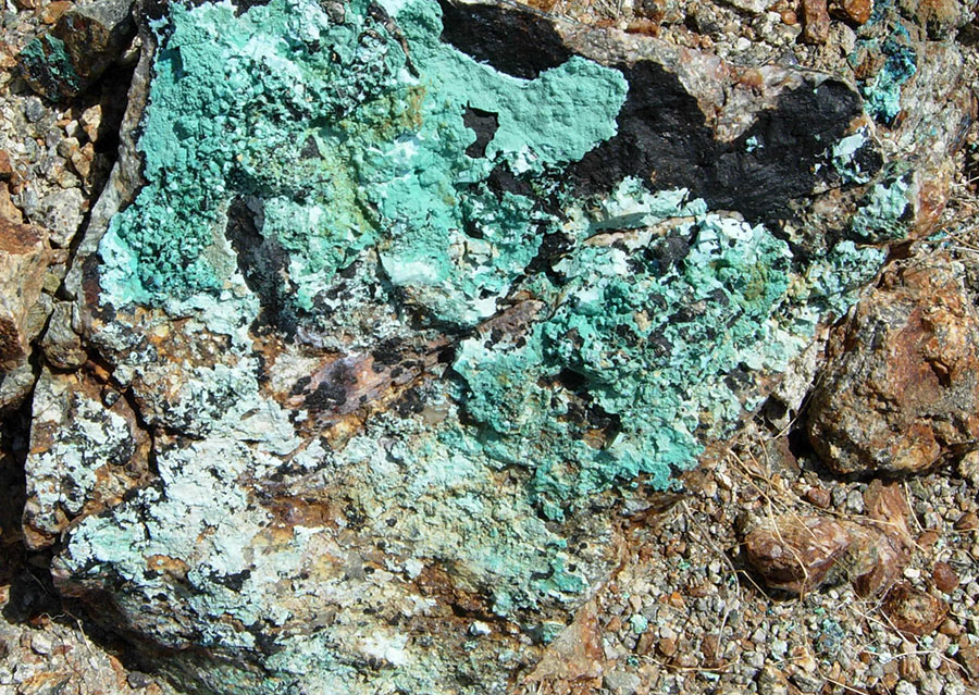 Mohave - Kodiak Copper Corp.