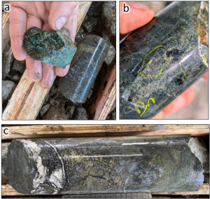 Examples of core from 2024 drilling at the Adit and South Zones: a) Axe-24-013 (Adit): Oxidized quartz gabbro with strong propylitic alteration and pyrite-chalcopyrite-epidote-malachite in veinlets at 80 m; b) Axe-24-015 (Adit): gabbro with propylitic alteration and veinlets/disseminated pyrite-chalcopyrite +/- bornite within 4 m high grade interval assaying 0.64% Cu, 0.14 g/t Au and 2.23 g/t Ag from 151 to 155; c) Axe-24-010 (South): Semi massive chalcopyrite-pyrite in quartz flooded porphyritic andesite breccia at 264 m