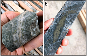 Examples of core from 2024 drilling at the Adit Zone: a) Axe-24-009: Diorite with chalcopyrite-pyrite in quartz-carbonate veining replacing feldspar, in 24 m high-grade interval assaying 1.00% Cu, 0.02 g/t Au and 6.72 g/t Ag from 218 to 242; b) Axe-24-011: Bands of massive pyrite-chalcopyrite in strong quartz-sericite-pyrite altered section of monzodiorite at 301 m, within broad 293 m interval assaying 0.23% Cu, 0.04 g/t Au and 1.71 g/t Ag from 102 to 395 m.